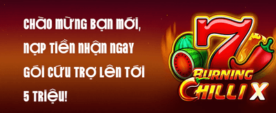 Thưởng Chào Mừng 100% Cho Thành Viên Mới promotion